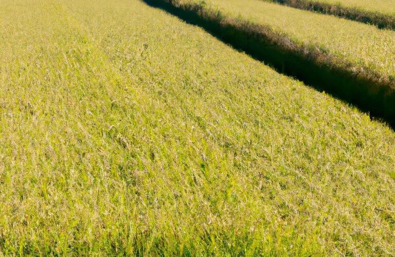 未利用の農地を活用しよう！相続や空き家の問題にも対応